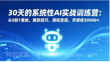 【第19538期】30天的系统性AI实战训练营：从0到1落地、爆款技巧、授权变现，月增收30000+