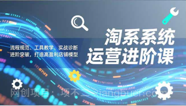 【第19554期】淘系系统运营进阶课2.0，流程规范、工具教学、实战诊断，进阶突破，打造高盈利店铺模型