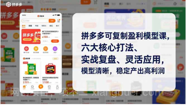 【第19589期】拼多多可复制盈利模型课，六大核心打法、实战复盘、灵活应用，模型清晰，稳定产出高利润