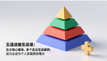 【第19765期】五道战略实战课：五大核心模块，多个名企实战案例，助力企业与个人实现持续增长
