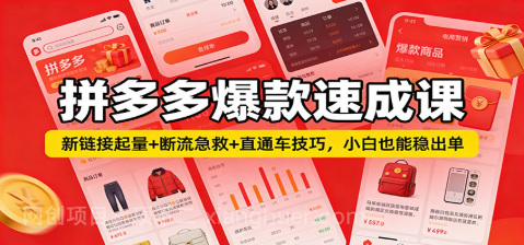【第19881期】拼多多爆款速成课：新链接起量+断流急救+直通车技巧，小白也能稳出单