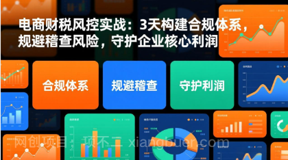 【第19884期】电商财税风控实战：3天构建合规体系，规避稽查风险，守护企业核心利润