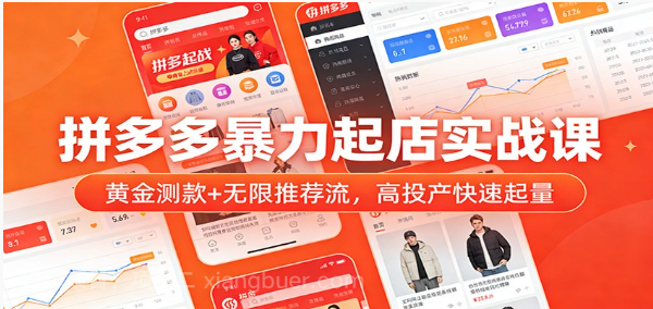 【第19913期】拼多多暴力起店实战课：黄金测款+无限推荐流，高投产快速起量