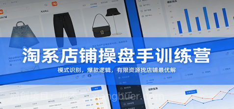 【第19964期】淘系店铺操盘手训练营：模式识别，爆款逻辑，有限资源找店铺最优解