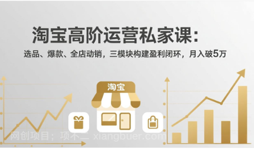 【第20131期】淘宝高阶运营私家课：选品、爆款、全店动销，三模块构建盈利闭环，月入破5万（更新26年2月）