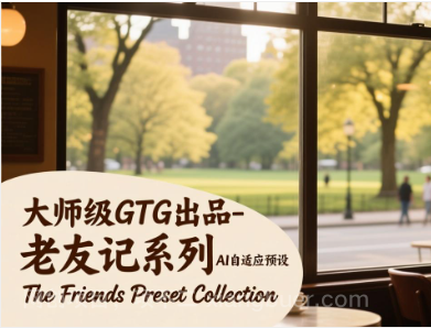 【第20138期】大师级GTG出品-老友记系列AI自适应预设The Friends Preset Collection
