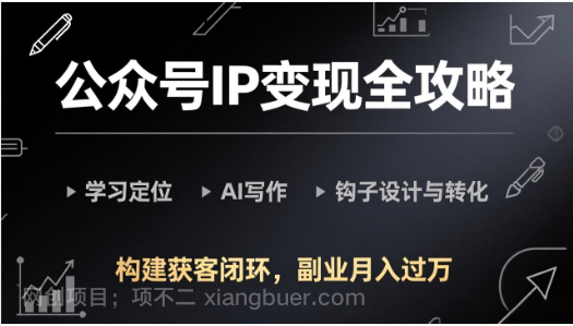 【第20258期】公众号IP变现全攻略-更新,学习定位、AI写作、钩子设计与转化,构建获客闭环,副业月入过万