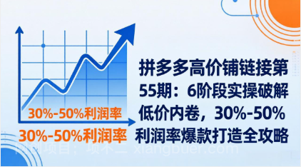 【第20318期】拼多多高价铺链接第55期：6阶段实操破解低价内卷，30%-50%利润率爆款打造全攻略