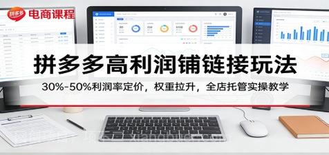 【第20363期】拼多多高利润铺链接玩法：30%–50%利润率定价，权重拉升，全店托管实操教学